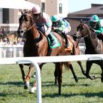 Bear River Earns Breeders' Cup Berth in Kentucky Turf Sprint Upset